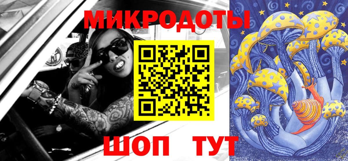 Дербент  Псилоцибиновые грибы Cubensis  Вход с VPN 